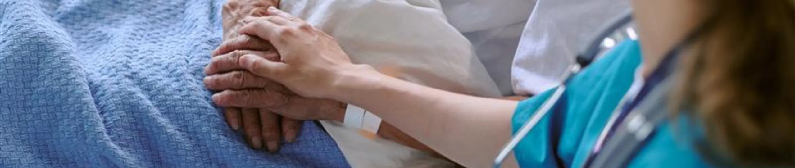 banner img